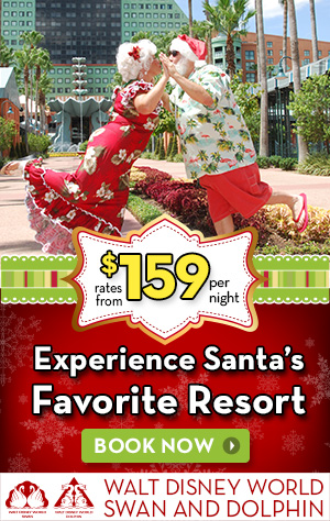 Holiday Offer